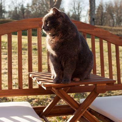 Kattis
