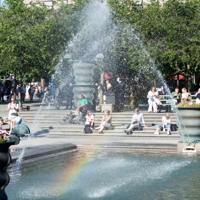 Kungsträdgården