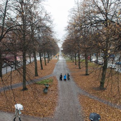 Valhallavägen