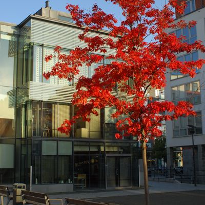 Sjöstadskapellet