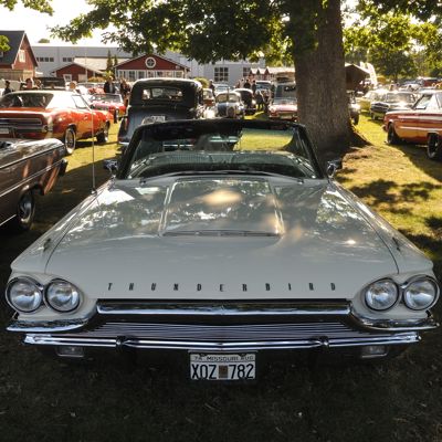 Thunderbird