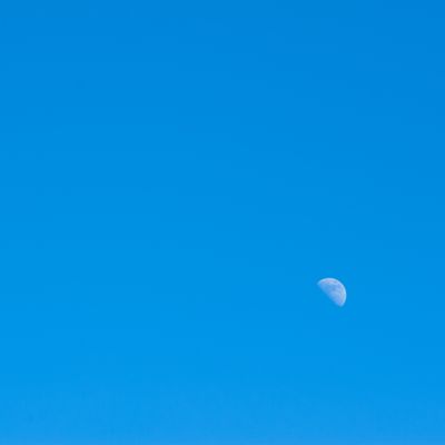 Buzzard moon