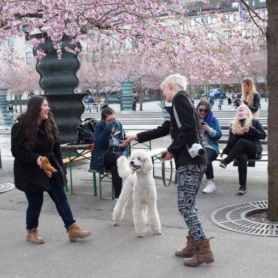 Kungsträdgården