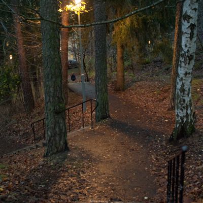 Årsta i November II
