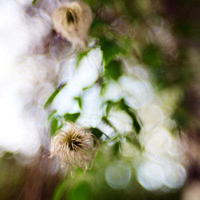 bokeh wash