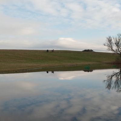 Esarp