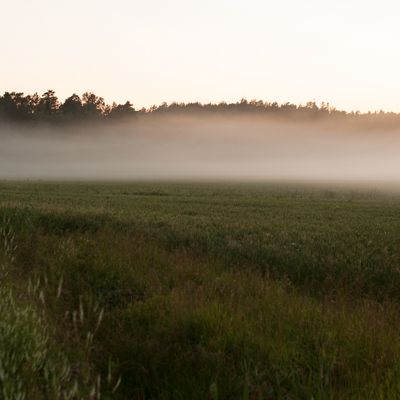 20150721-19272576473-20150720-ge7_7413