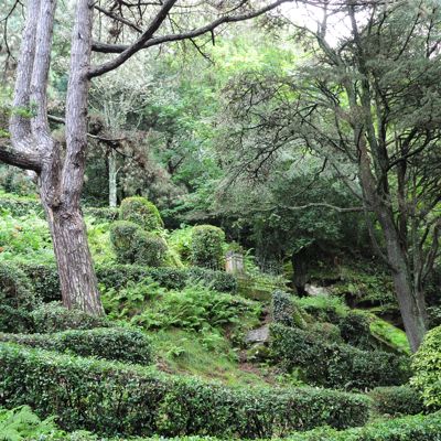 The English cemetery