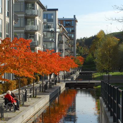 fall colours
