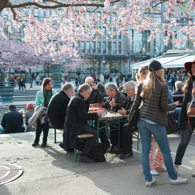 Kungsträdgården