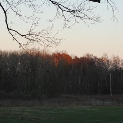 last rays