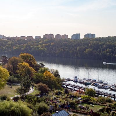 Årstaviken, 25 sep 2020