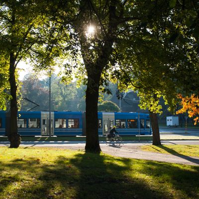 Djurgården