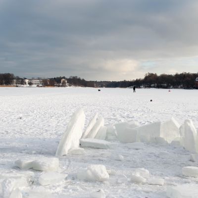 Djurgårdsbrunnsviken