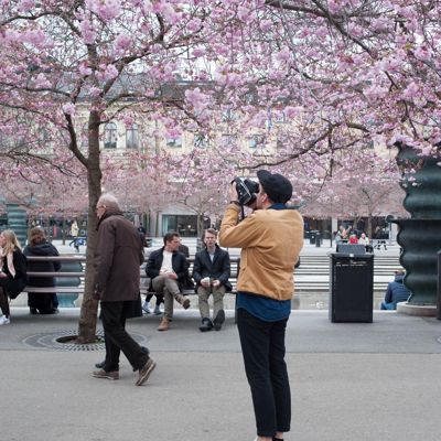 Shooting the shooter / Kungsträdgården