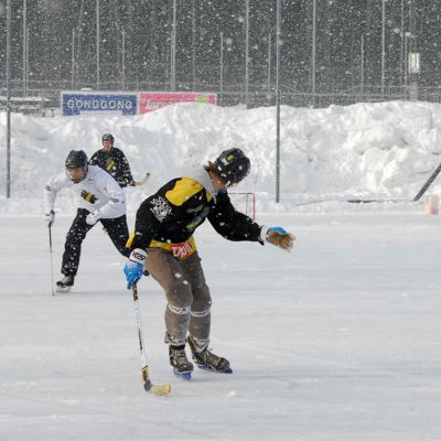 Bandy