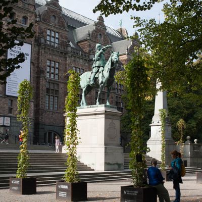 Nordiska museet