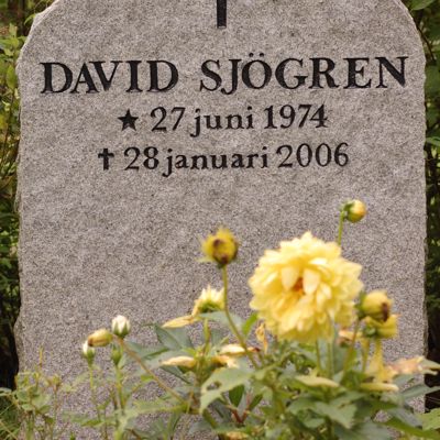David Sjögren