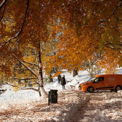 Early November snow