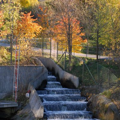 20101106-5166701590-fish_ladder