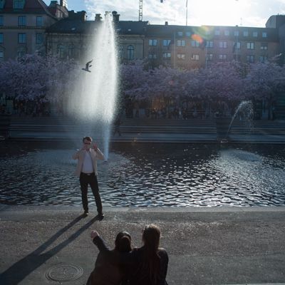 Kungsträdgården