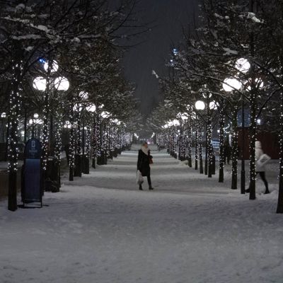 Kungsträdgården