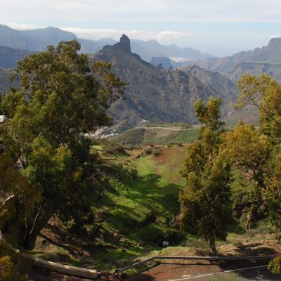 view from near Cruz de Tejeda