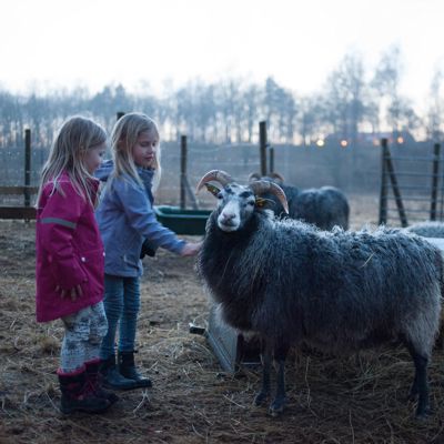 Hedda & Anna