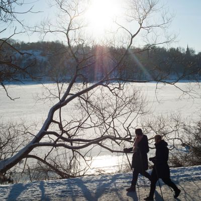 Djurgårdsbrunnsviken