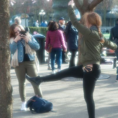 Strike a pose / Soft sakura 3