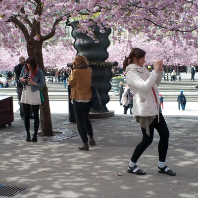 20120429-7141732387-kungstradgarden