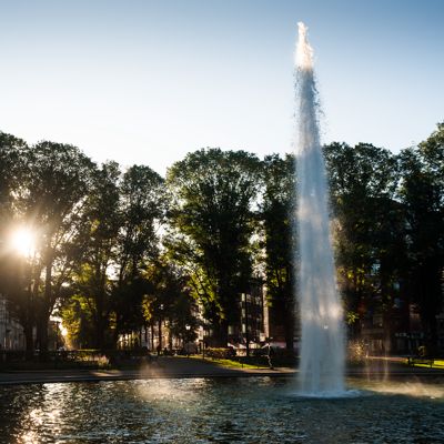 En morgondröm