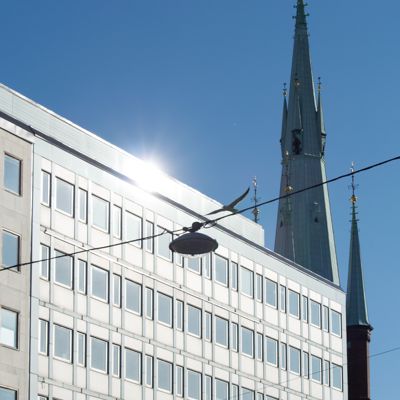 Clear - Klara