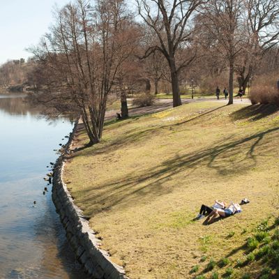 Djurgården