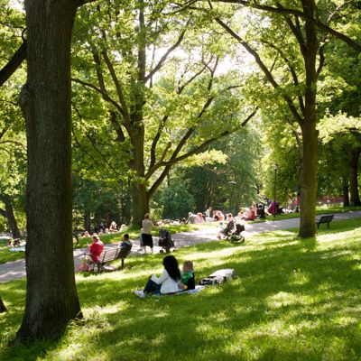 Vitabergsparken