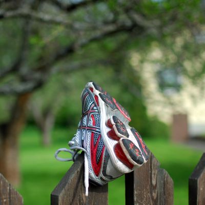 Shoe