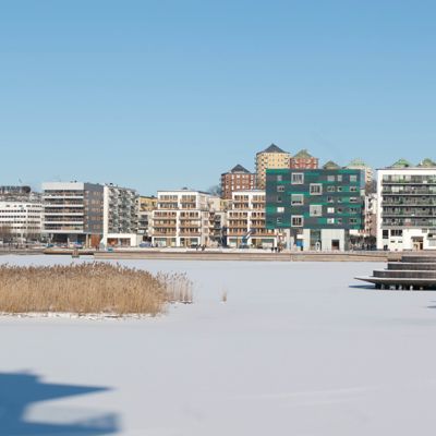 Hammarby sjö, 12 Feb 2012