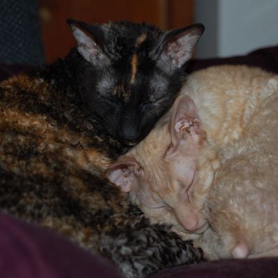 Sindy and Ester in rare harmony