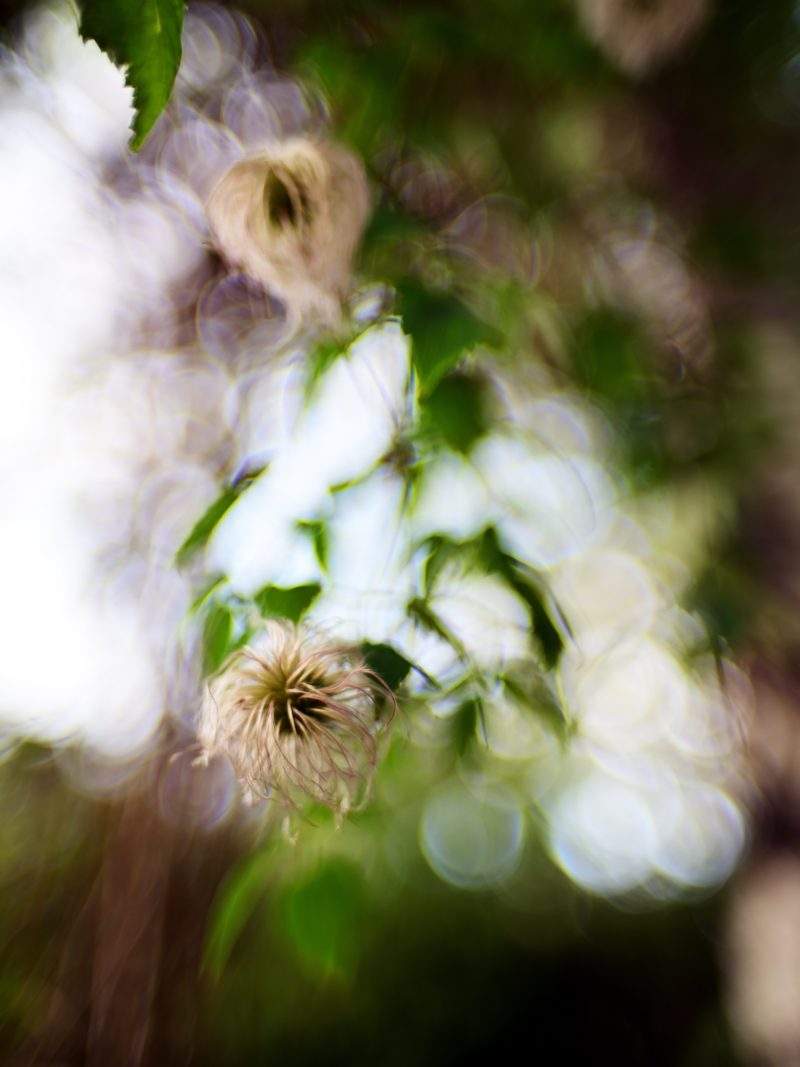bokeh wash