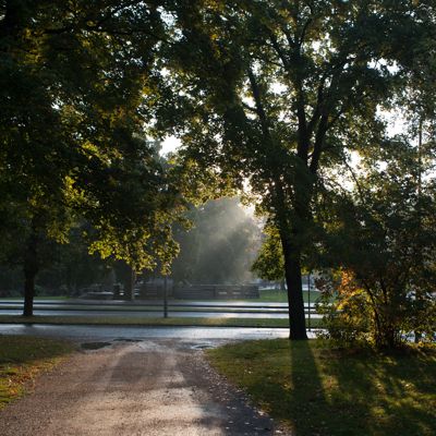 Djurgården