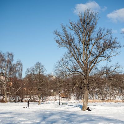 Kungl. Djurgården