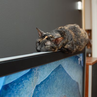 railcat